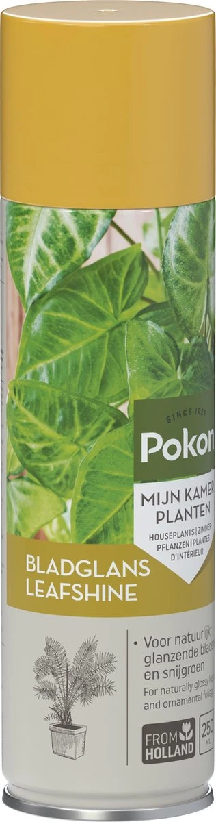 Pokon Bladglans 250ml - Afbeelding 6