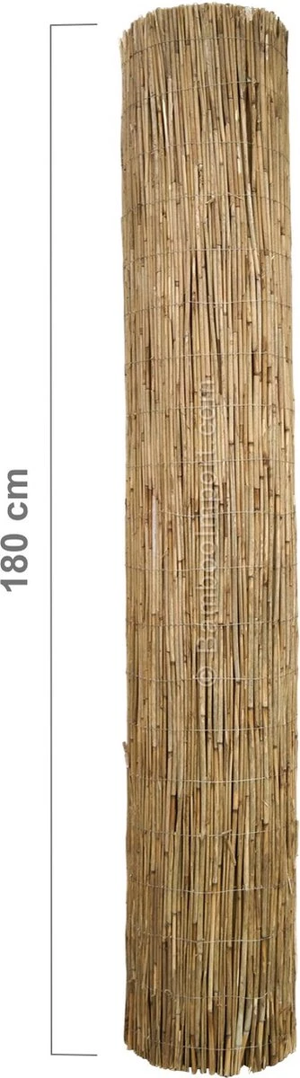 Bamboo Import Europe Rietmat Ongepeld 600 X 180 Cm