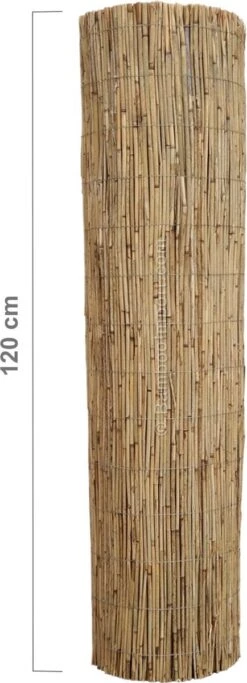 Bamboo Import Europe Rietmat Ongepeld 600 X 120 Cm