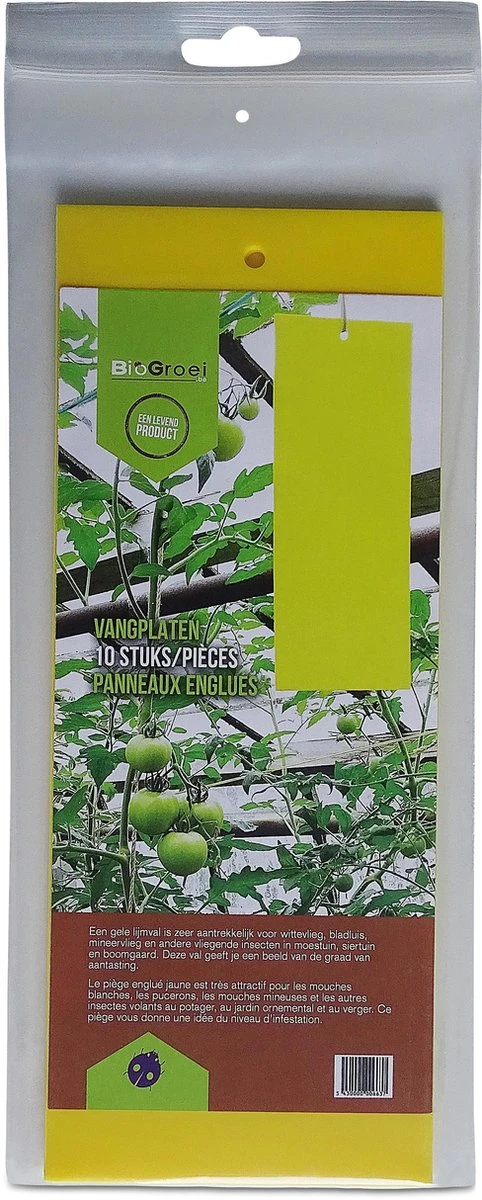 Biogroei Gele Vangplaten - Ongedierteval - 10 Stuks - 10cmx25cm - Tegen Rouwvliegjes, Trips, Witte Vlieg En Vliegende Bladluis