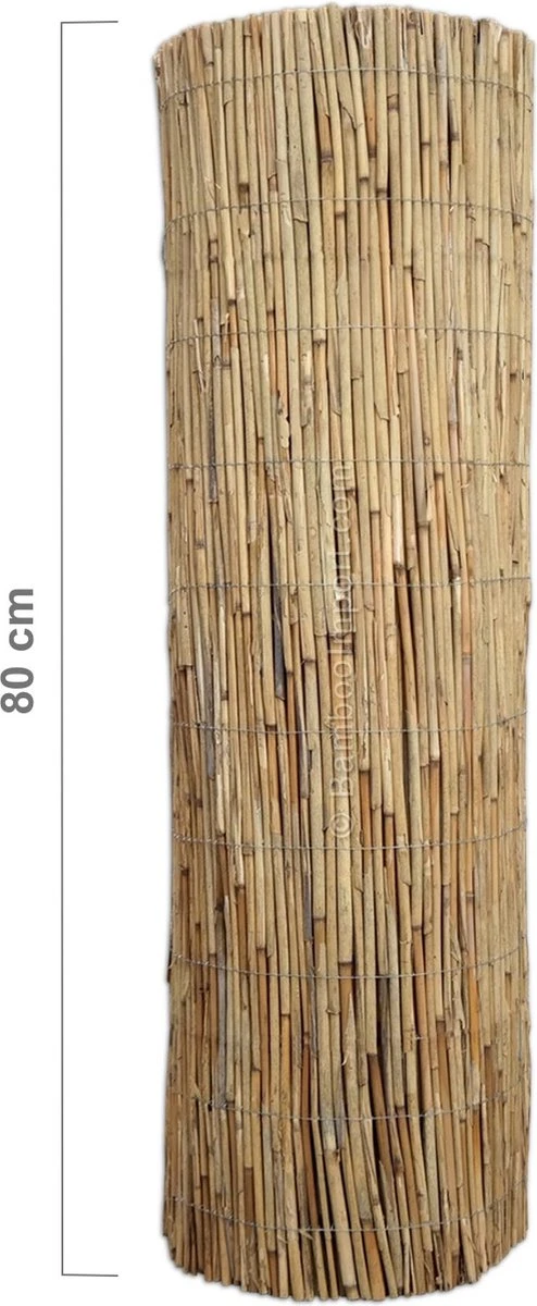 Bamboo Import Europe Rietmat Ongepeld 600 X 80 Cm