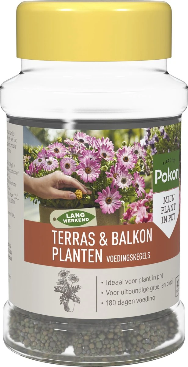 Pokon Voedingskegels Voor Terras- & Balkonplanten - 40 Stuks - 180 Dagen Voeding - Plantenvoeding - Afbeelding 2