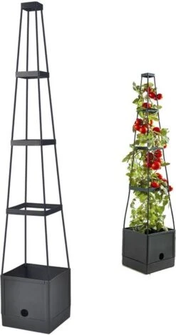 Merkloos Tomaten - Kruipplant Met Wateropslagfunctie