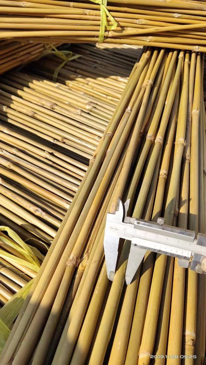 Intergard Bamboematten Tuinscherm Bamboe Ruw 2x5m - Afbeelding 2