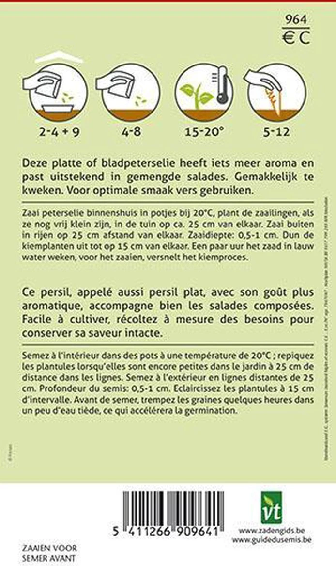 Groene Munt Mentha Spicata - Frisse Muntsmaak. - Afbeelding 2