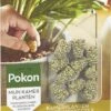 Pokon Kamerplanten Voedingskegels - 2x10st - Plantenvoeding - 6 Maanden Voeding
