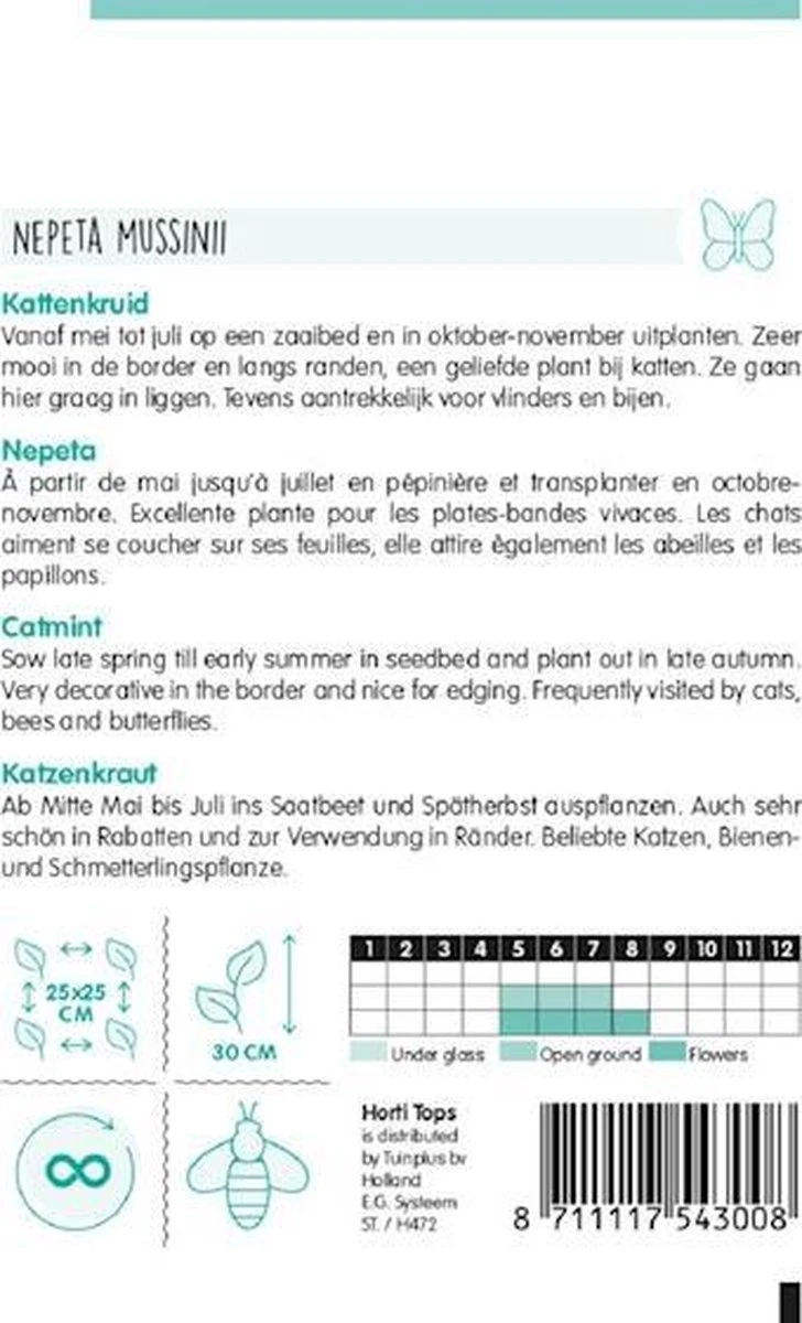Hortitops - Kattekruid Bloemzaad - Nepeta Mussinii - Afbeelding 2