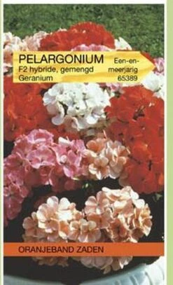 Oranjebandzaden - Pelargonium, Geranium F2 Gemengd