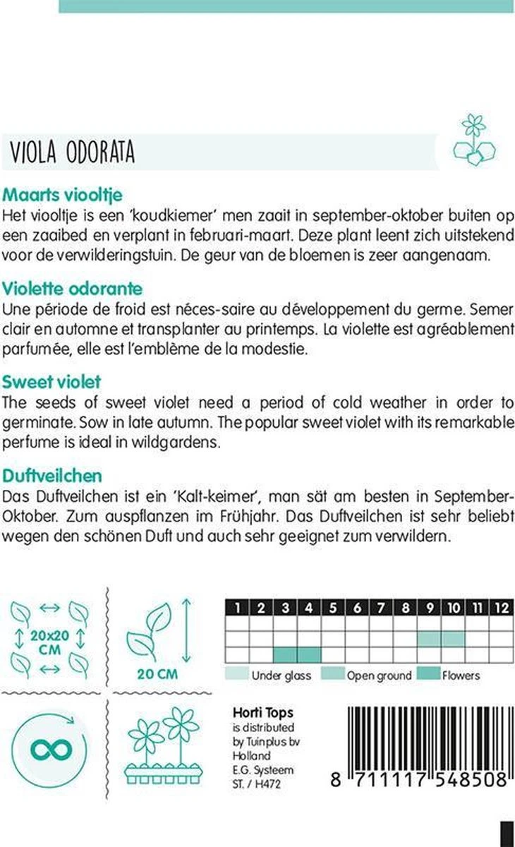 Hortitops Maarts Viooltje Bloemzaad - Viola Odorata - Afbeelding 2