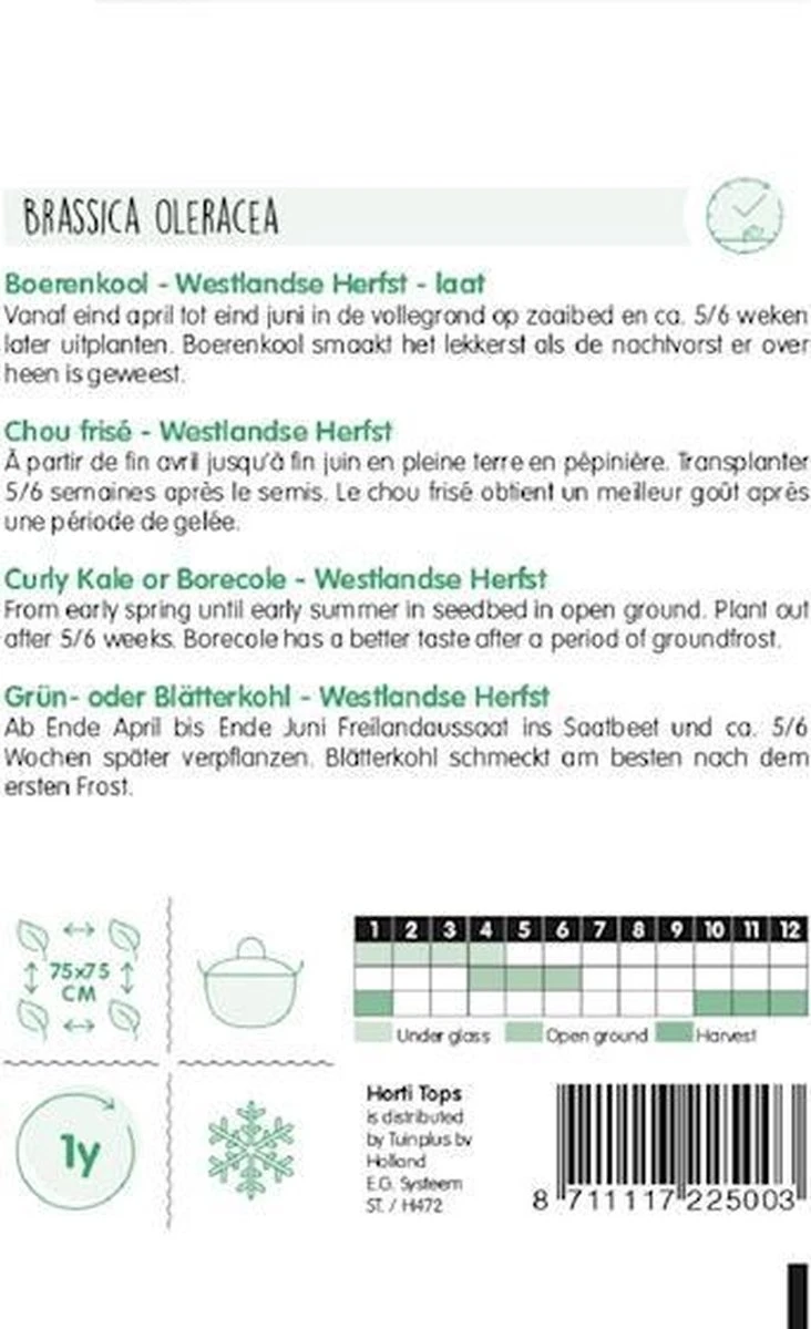 Hortitops Zaden - Boerenkool Westlandse Herfst, Laat Type - Afbeelding 3