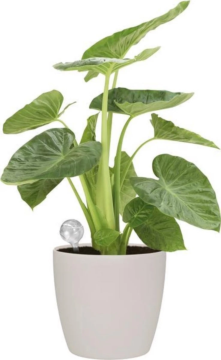 Elho Aqua Care 9 - Accessoires Voor Binnenaccessoires - Ø 17.3 X H 32.0 Cm - Transparant/Transparant - Afbeelding 5