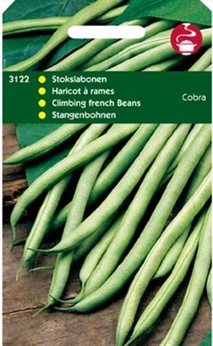 Hortitops Zaden - Stokslabonen Cobra