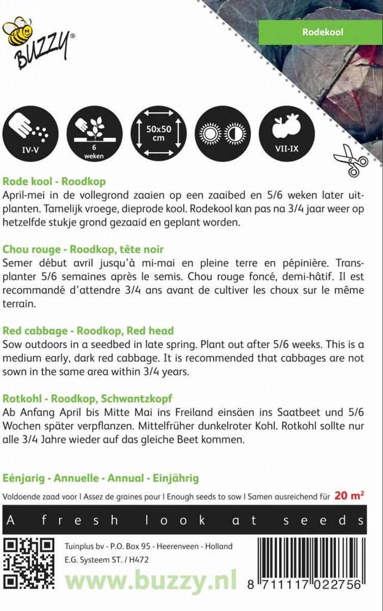 Buzzy® Rode Kool Roodkop - Afbeelding 2