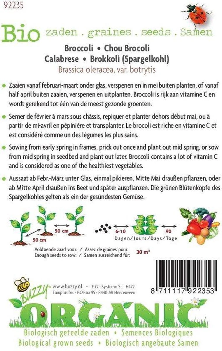 Buzzy® Organic Broccoli Groene Calabrese (BIO) - Afbeelding 3