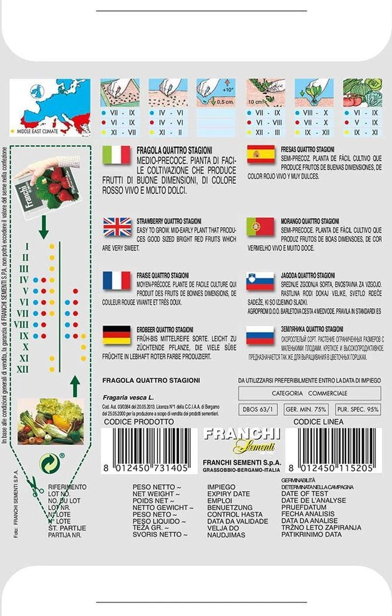 Franchi - Aardbei Franchi - Agola Quatro Stagioni 63/1 - Afbeelding 2