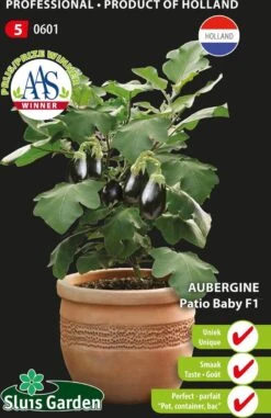 Sluis Garden - Aubergine/ Potaubergine Patio Baby F1