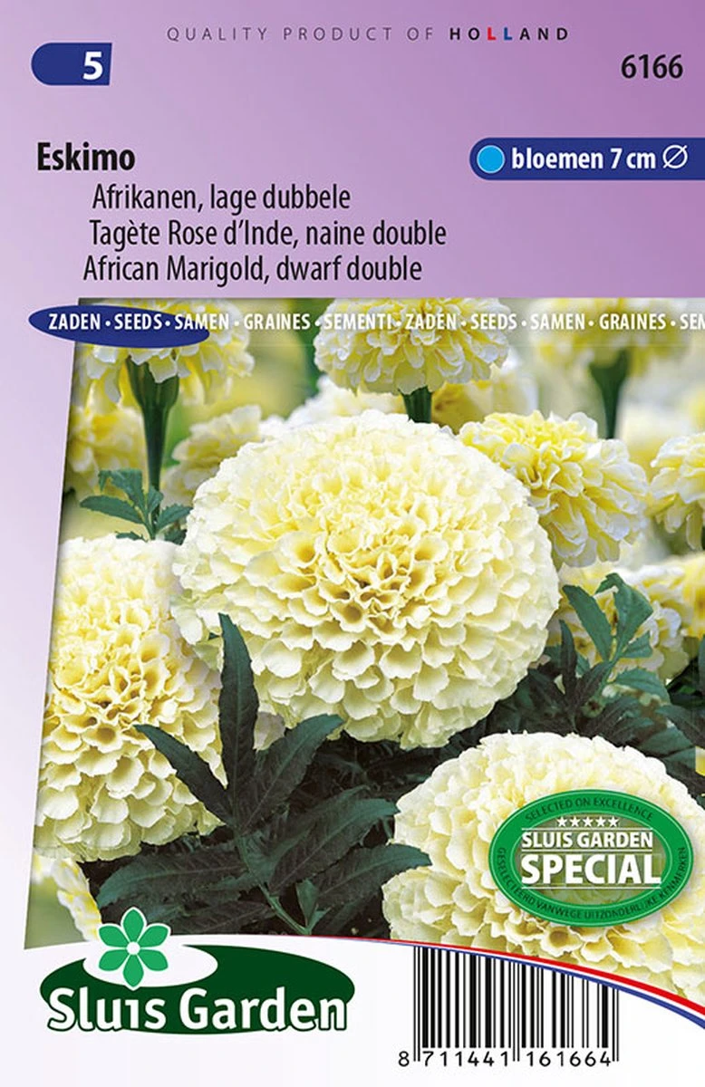 Sluis Garden - Bloemzaad - Afrikanen, Lage Dubbele, Eskimo