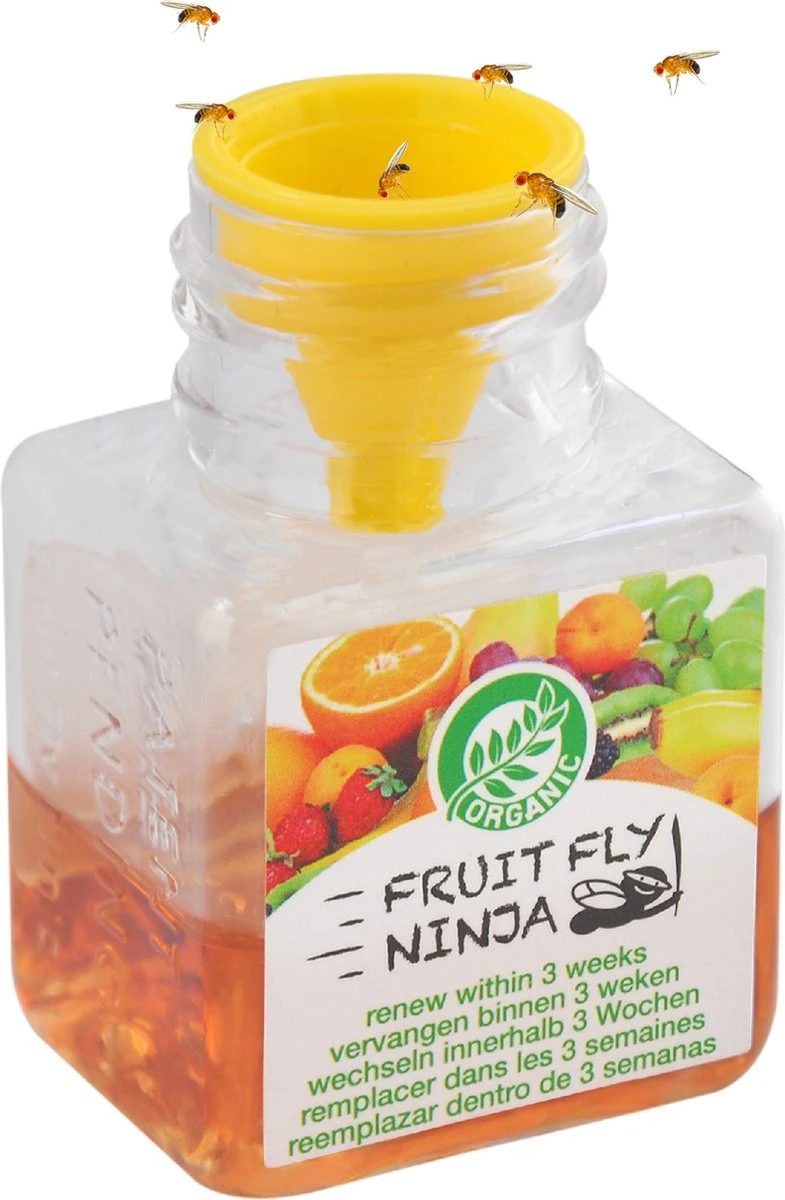 Super Ninja - Fruit Fly Ninja® - Fruitvliegjes Vanger - 100% Natuurlijk En Milieu Verantwoordelijk - Single Pack - Afbeelding 7