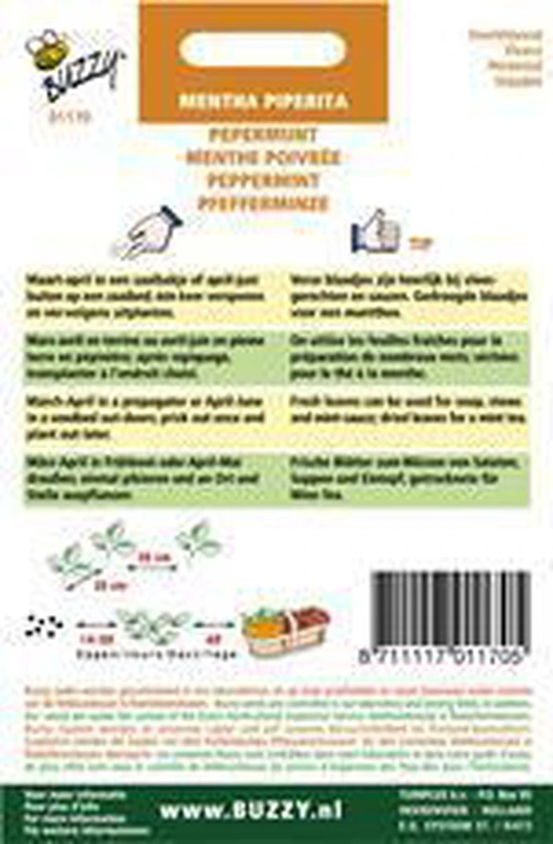 Buzzy Zaden Pepermunt - Afbeelding 4