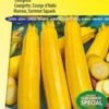 Sluis Garden - Courgette Soleil F1