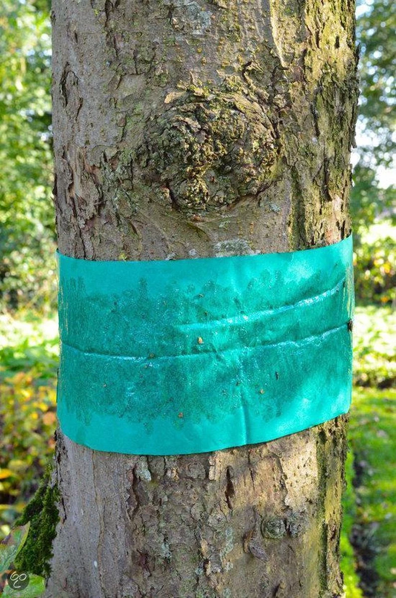 ECOstyle Lijmband Beschermt Tegen Schadelijke Insecten - Werkt Tegen Mieren, Wintervlinder, Bladluis En Meer - Weerbestendig - 2,5 M Lijmband & 6 M Touw - Afbeelding 5