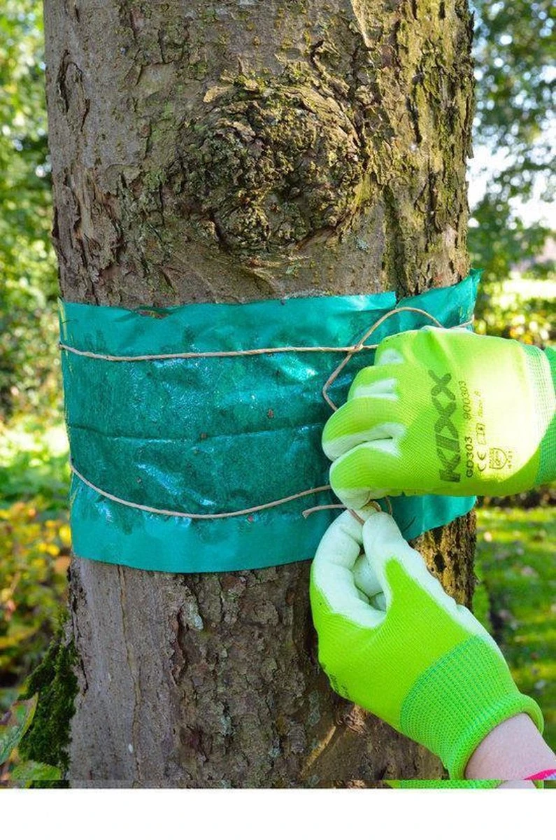 ECOstyle Lijmband Beschermt Tegen Schadelijke Insecten - Werkt Tegen Mieren, Wintervlinder, Bladluis En Meer - Weerbestendig - 2,5 M Lijmband & 6 M Touw - Afbeelding 6