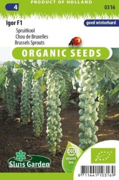 Sluis Garden - Spruitkool Igor F1 Biologisch