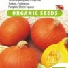 Sluis Garden - Pompoen Uchiki Kuri (Oranje Zon) Biologisch