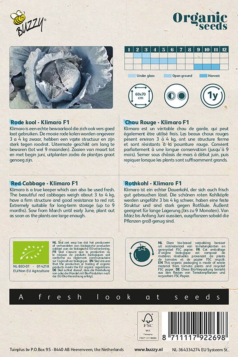 Buzzy® Organic Rode Kool Klimaro F1 (BIO) - Biologisch Groentezaad - Afbeelding 2