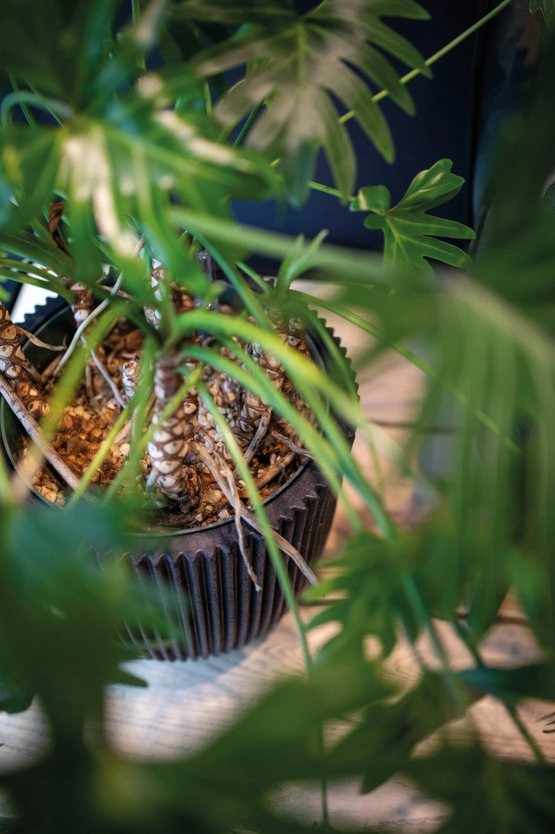 Capi Europe - Bloempot Bol Groove NL - 43x41 - Zwart - Voor Binnen En Buiten - KGVBL933 - Afbeelding 3