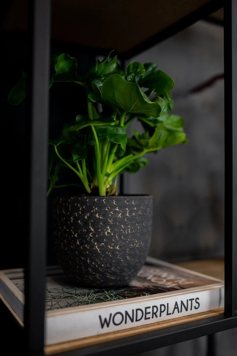 Plantenpot/Bloempot In Het Lava-look Zwart Dia 15 Cm En Hoogte 13 Cm - Voor Binnen - Afbeelding 2