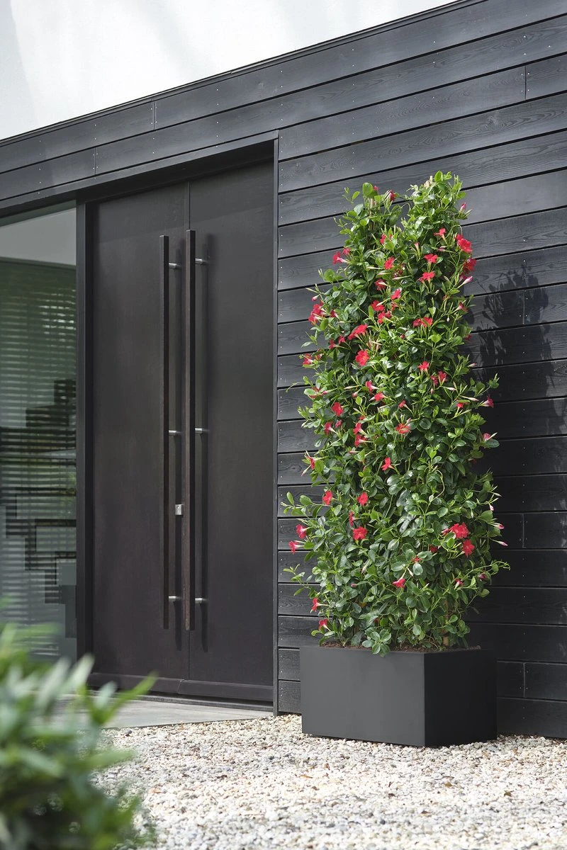 Elho Vivo Next Lang 60 - Bloempot Voor Binnen & Buiten - Ø 59.0 X H 29.2 Cm - Zwart/Living Black - Afbeelding 4