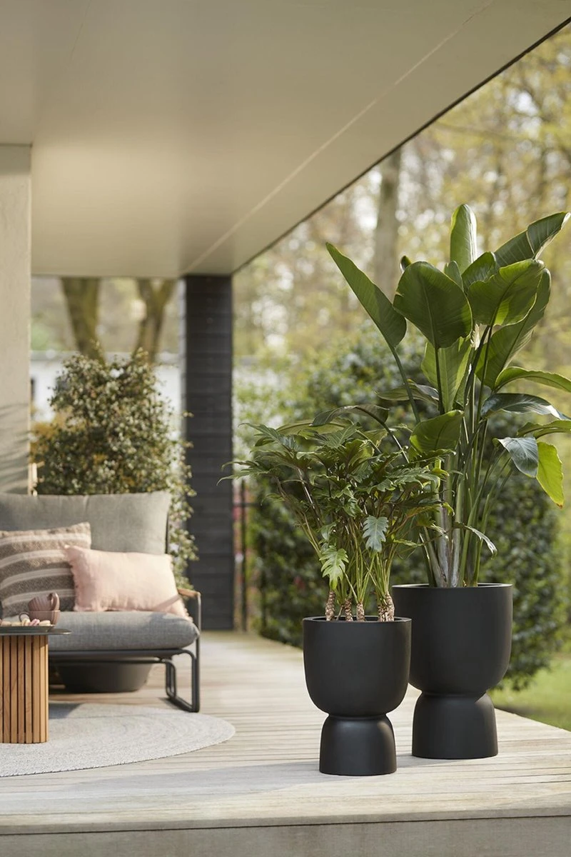 Elho Pure Coupe 35 - Bloempot Voor Binnen & Buiten - Ø 34.9 X H 49.0 Cm - Zwart/Zwart - Afbeelding 18