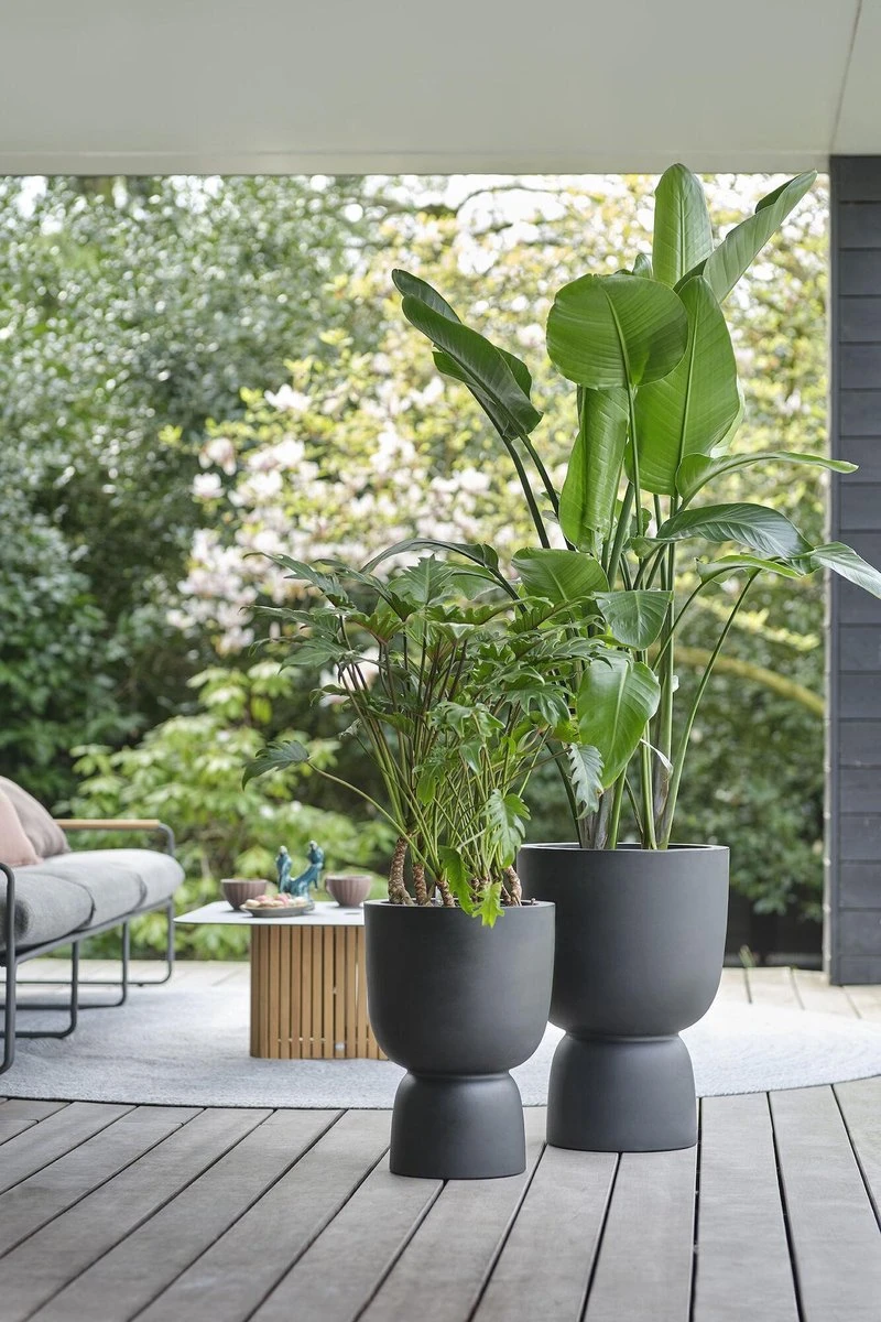 Elho Pure Coupe 35 - Bloempot Voor Binnen & Buiten - Ø 34.9 X H 49.0 Cm - Zwart/Zwart - Afbeelding 20