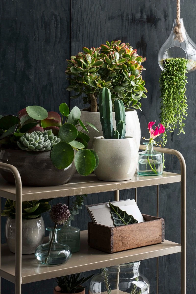 Mica Decorations Lester Bloempot - H22 X Ø24 Cm - Terracotta - Groen - Afbeelding 4