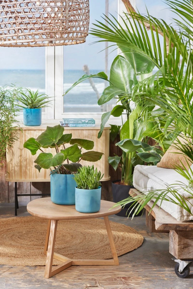 Elho The Ocean Collection Round 22cm - Bloempot Voor Binnen - 100% Gerecycled Materiaal - Gemaakt Met Zeeafval - Ø 22.3 X H 20.4 Cm - Atlantisch Blauw - Afbeelding 3