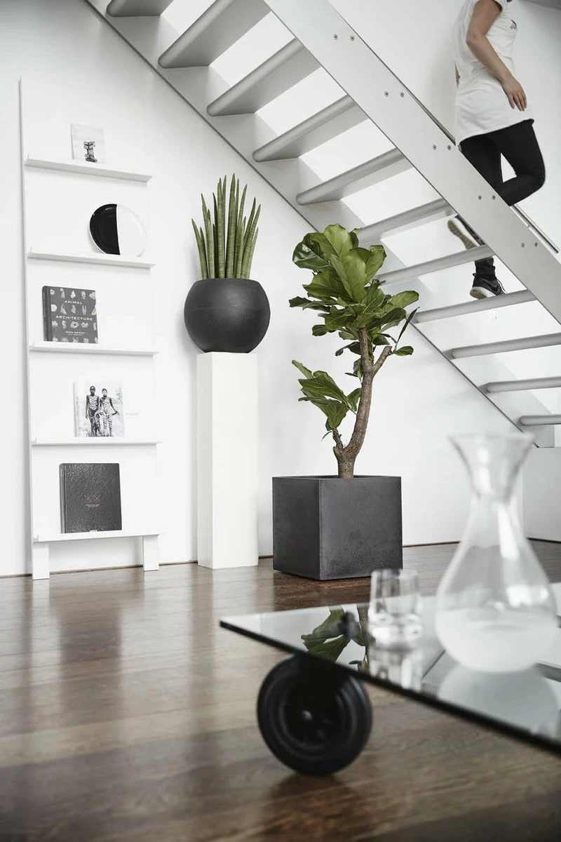 Capi Europe - Bloempot Vierkant Smooth NL - 30x30x30 - Zwart - Voor Binnen En Buiten - KBL902 - Afbeelding 10