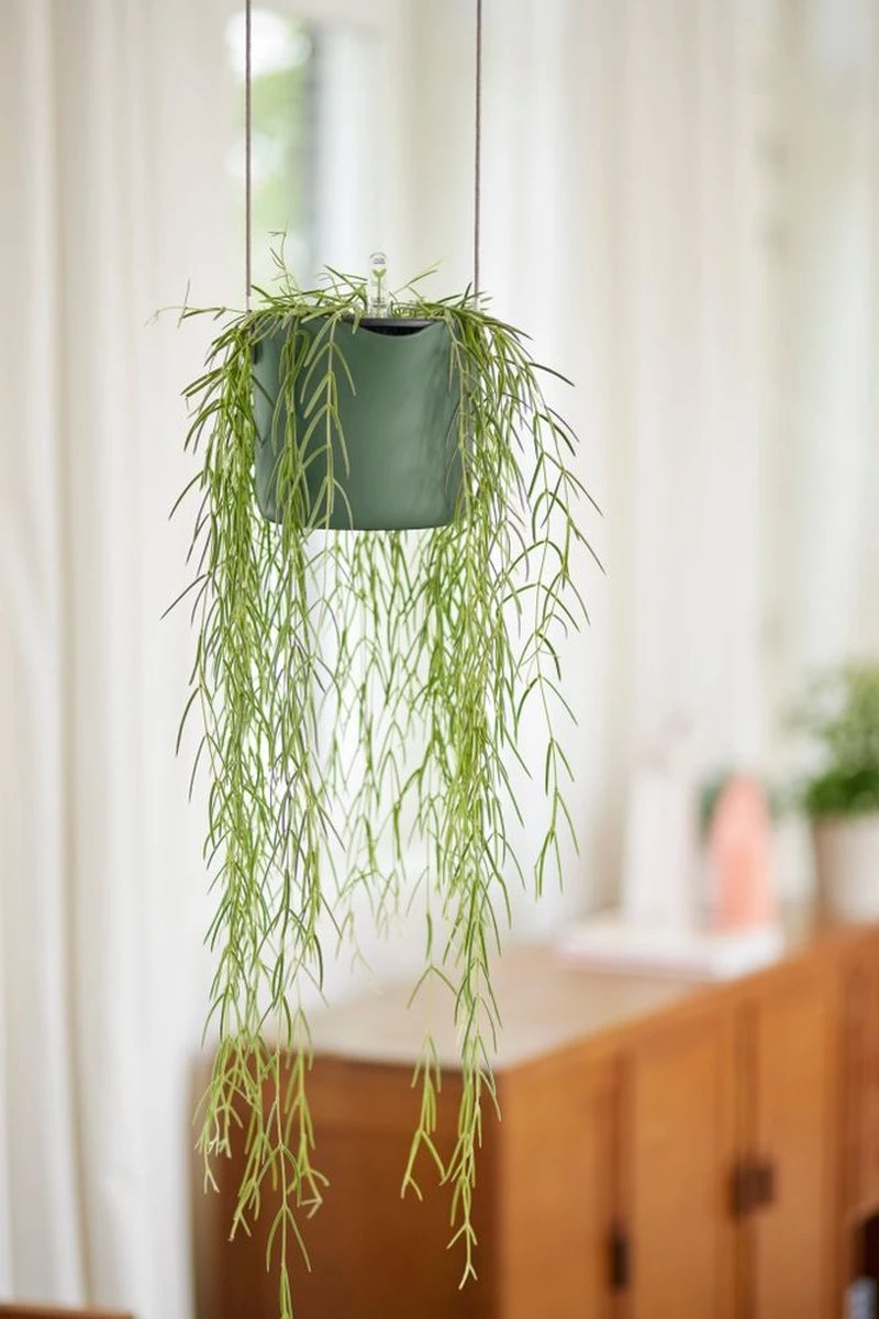 Elho B.for Swing 18 Hangpot - Bloempot Voor Binnen - Ø 18.0 X H 16.5 Cm - Groen/Blad Groen - Afbeelding 8