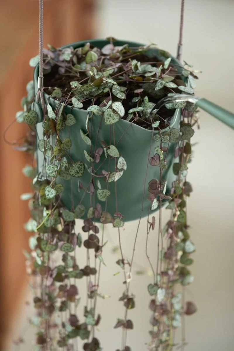 Elho B.for Swing 18 Hangpot - Bloempot Voor Binnen - Ø 18.0 X H 16.5 Cm - Groen/Blad Groen - Afbeelding 9