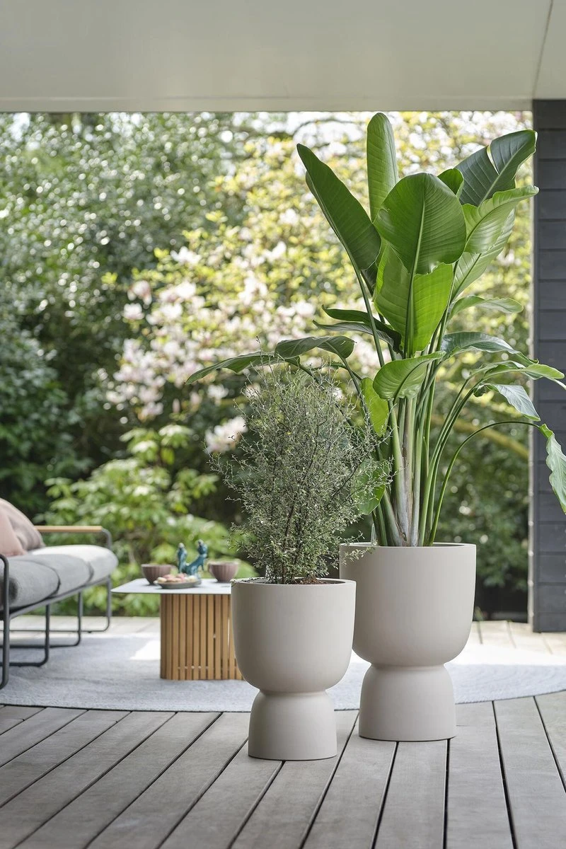 Elho Pure Coupe 41 - Bloempot Voor Binnen & Buiten - Ø 41.3 X H 57.9 Cm - Beige/Balanced Beige - Afbeelding 3