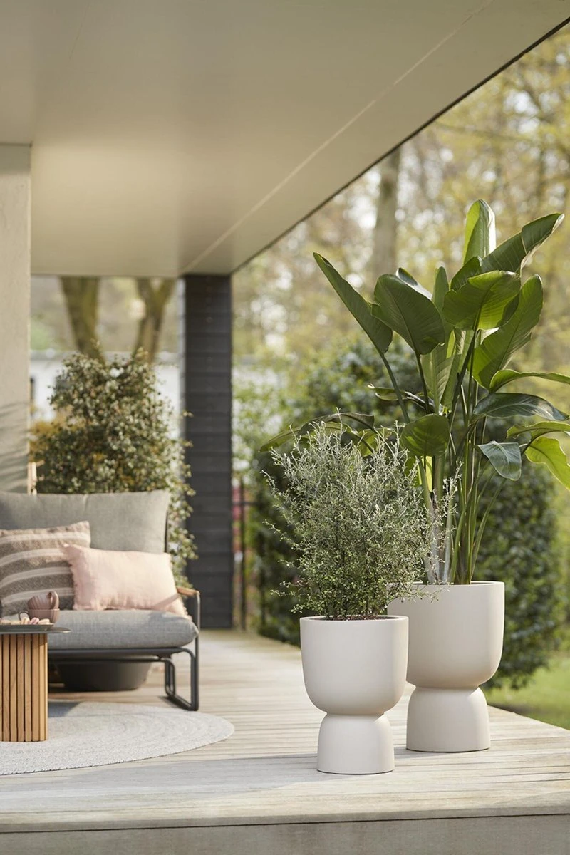 Elho Pure Coupe 41 - Bloempot Voor Binnen & Buiten - Ø 41.3 X H 57.9 Cm - Beige/Balanced Beige - Afbeelding 14