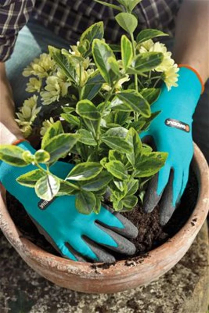 Gardena Plant- En Bodem Handschoen - Maat: M - Afbeelding 5