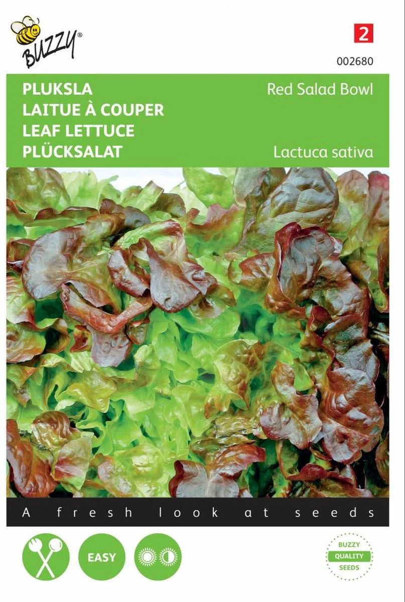 Buzzy Zaden Pluksla Red Salad Bowl, Rode Eikenblad - Afbeelding 4