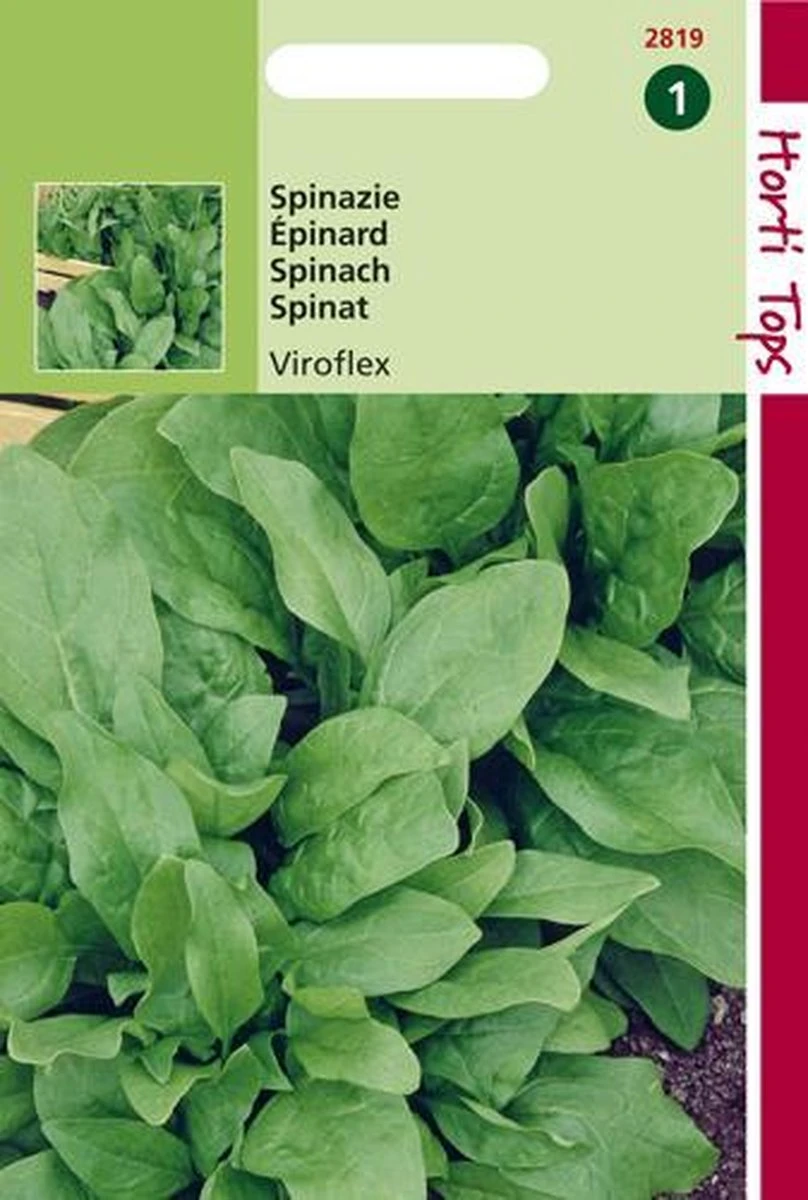 Hortitops Zaden - Spinazie Winterreuzen 15 Gram - Afbeelding 3