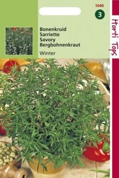 Hortitops Zaden - Bonenkruid Overblijvende