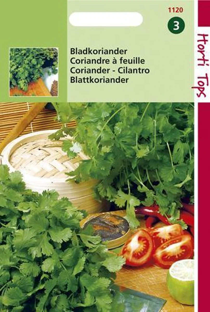 Hortitops Zaden - Koriander, Fijnzadig Traagschietend