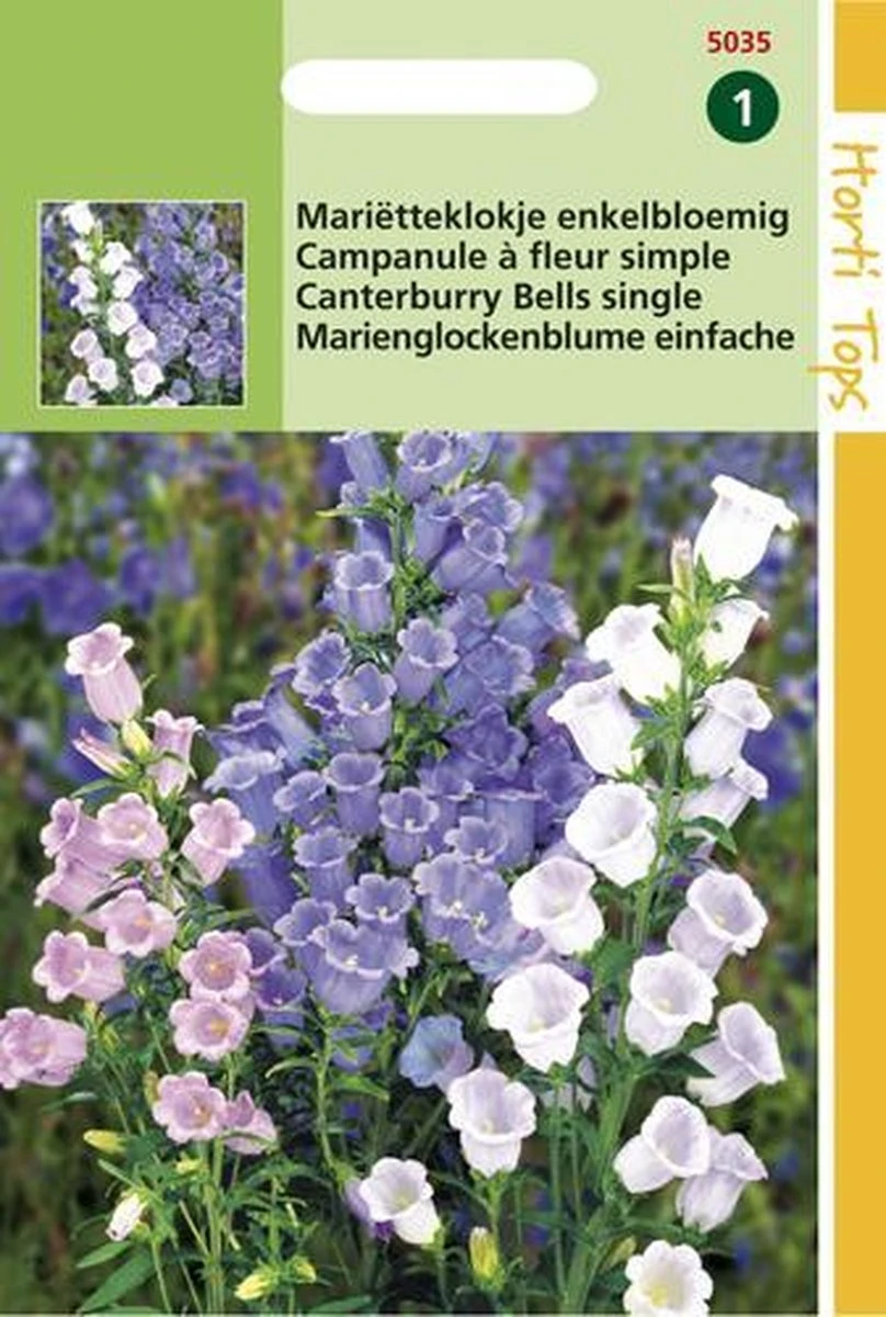 Hortitops Zaden - Campanula Medium Enkelbloemig Gemengd