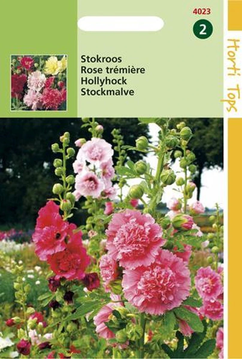 Hortitops Zaden - Althaea Rosea Summer Carnival - Stokroos - Afbeelding 3