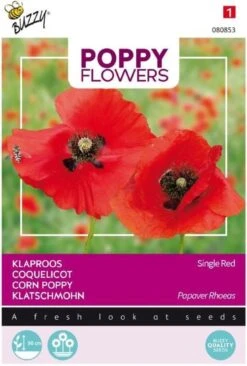 Buzzy® Poppies Of The World - Klaproos Rhoeas Rood
