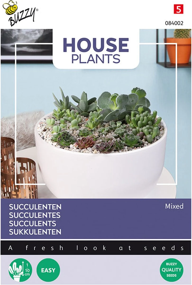 Buzzy House Plants - Kamerplantzaden - Succulenten, Vetplanten - Gemengd